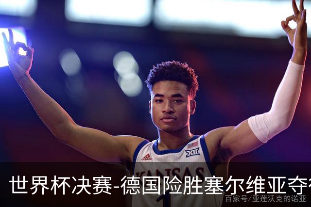 世界杯决赛-德国险胜塞尔维亚夺得世界杯冠军