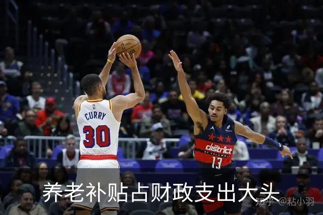 养老补贴占财政支出大头