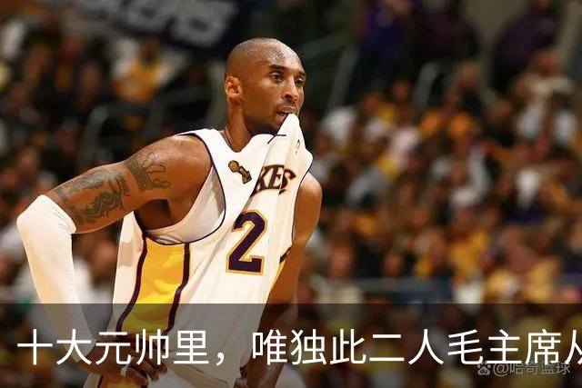 十大元帅里，唯独此二人毛主席从不训斥：一个没必要，一个不忍心