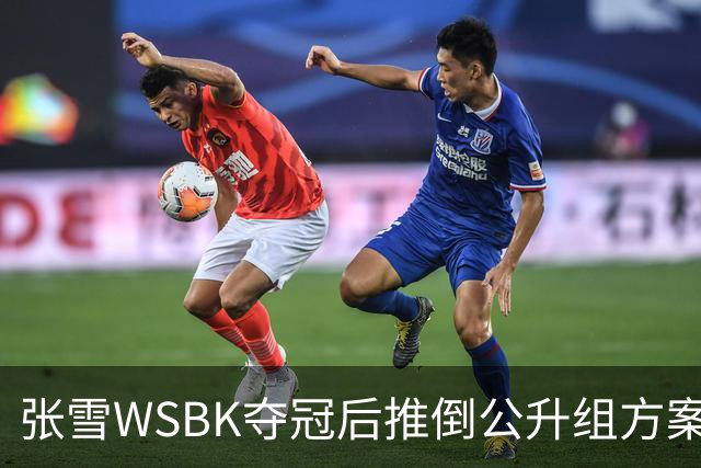 张雪WSBK夺冠后推倒公升组方案：弃四缸改自研V5，两年冲公升组经理放话全力托底