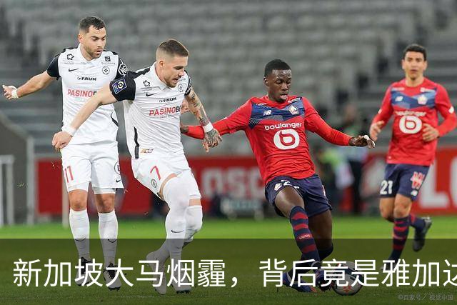 新加坡大马烟霾，背后竟是雅加达纵容！