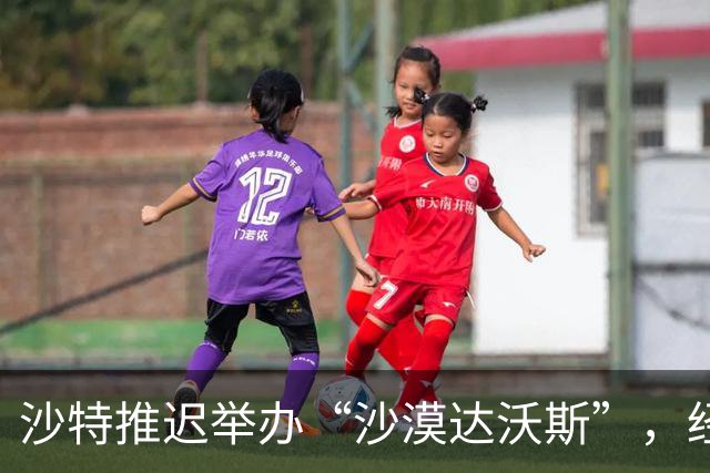 沙特推迟举办“沙漠达沃斯”，经济多元化计划遭胡塞武装打击