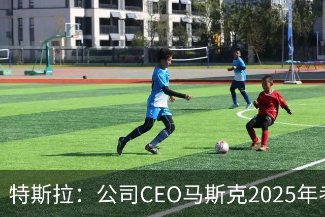 特斯拉：公司CEO马斯克2025年考核未达标，全年实际到手收入为零，没有现金，也没有解锁任何股权