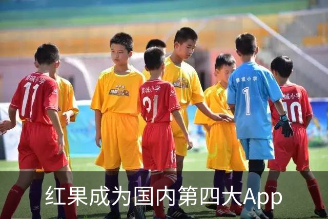 红果成为国内第四大App